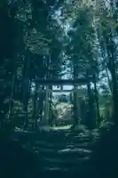 田村神社(埼玉県)