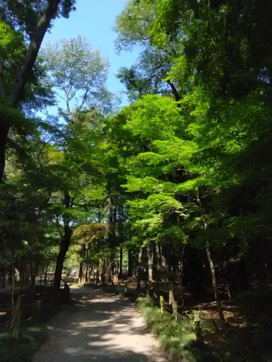 平林寺(埼玉県)