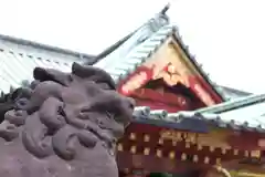 根津神社の狛犬