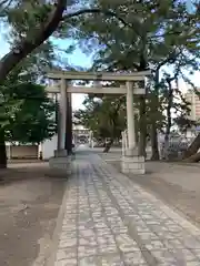 平塚三嶋神社の鳥居