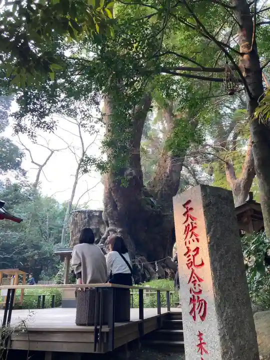 來宮神社(静岡県)