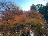 大宮温泉神社(栃木県)