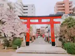 亀戸天神社の鳥居