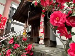 誓願寺(京都府)