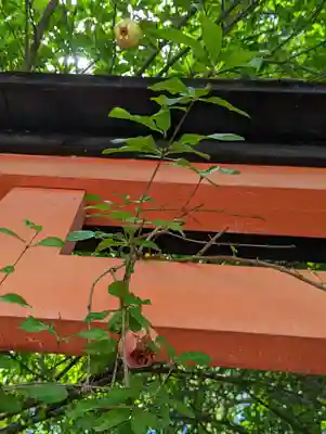 武信稲荷神社の地蔵