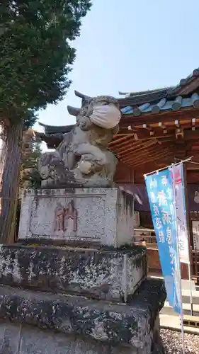 鶴峯八幡宮の狛犬