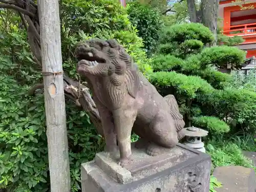 千葉神社の狛犬