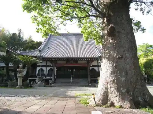 東漸寺(神奈川県)
