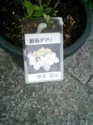 光則寺のその他建物