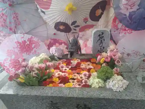 札幌諏訪神社の手水舎