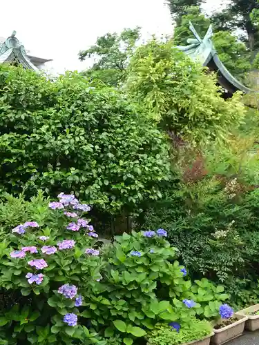 白金氷川神社の自然
