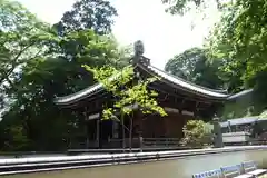 長谷寺の建物その他