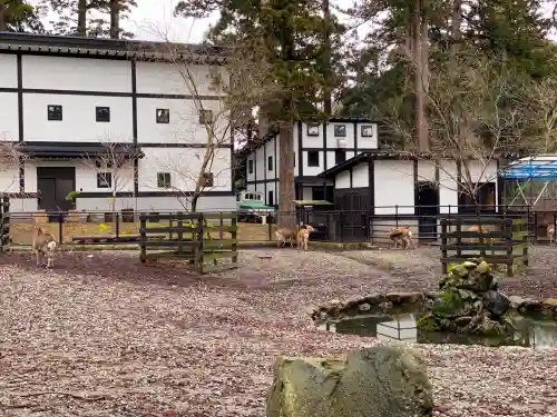 彌彦神社の建物その他