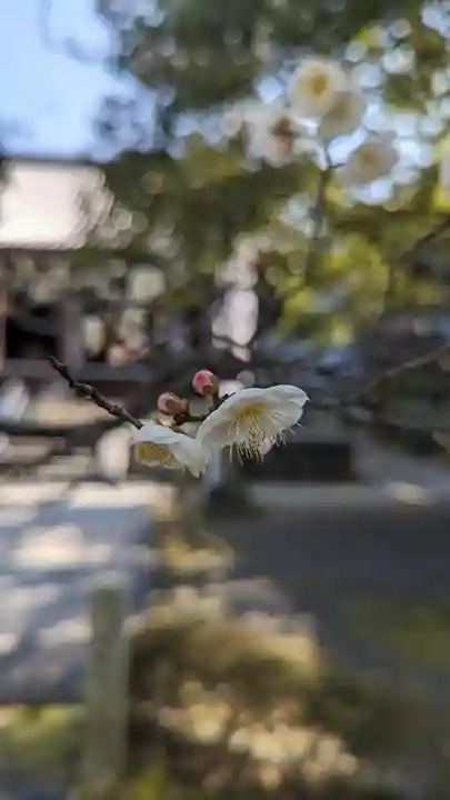 智積院(京都府)