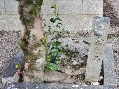 饒石神社のその他建物