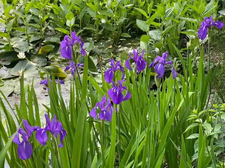 勧修寺(京都府)