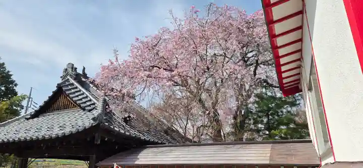 差出磯大嶽山神社 仕事と健康と厄よけの神さま(山梨県)
