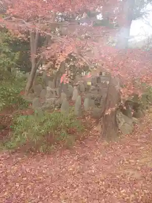 長林寺（山川長林寺）の自然
