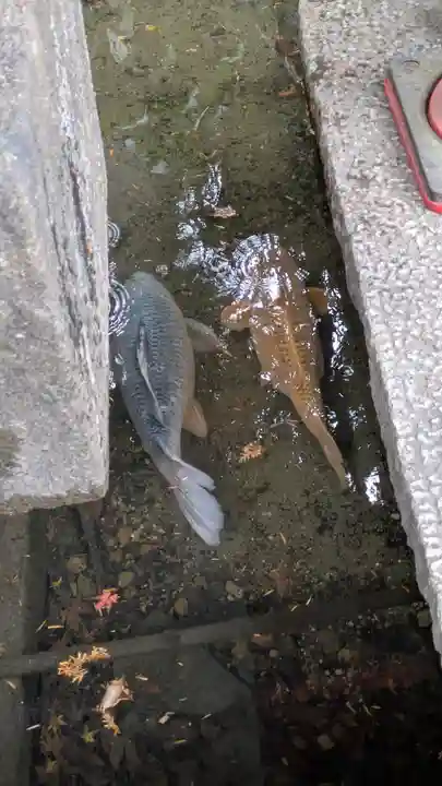石山寺(滋賀県)