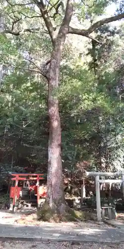 （市辺）天満神社(京都府)