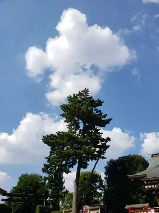 中野沼袋氷川神社(東京都)