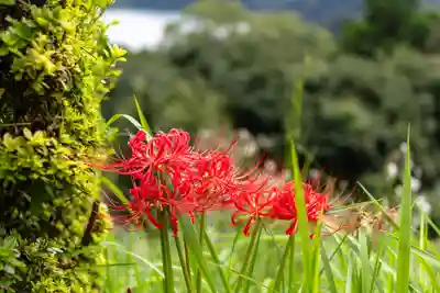 霧島東神社(宮崎県)