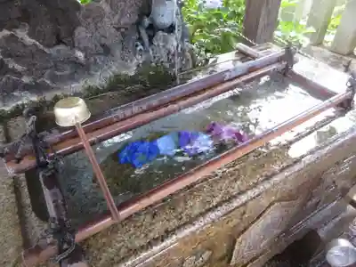 白山神社(東京都)