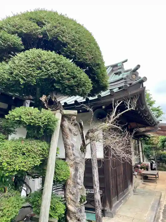眞徳寺(神奈川県)