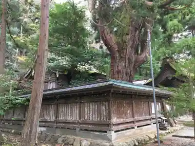 若狭姫神社（若狭彦神社下社）のその他建物