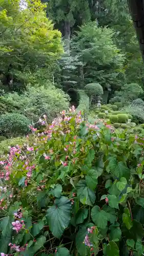 三千院門跡(京都府)