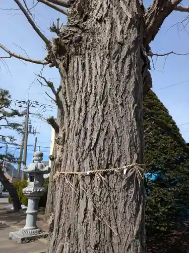 稲荷神社（鍛冶稲荷神社）(北海道)