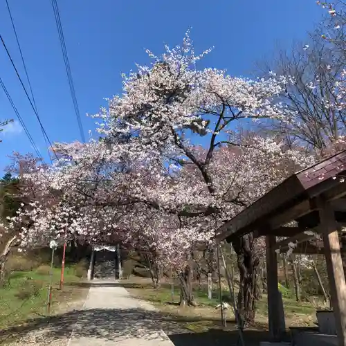 新得神社の自然