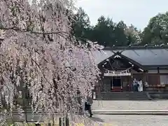 足羽神社(福井県)