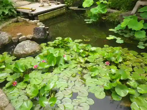 長谷寺の庭園