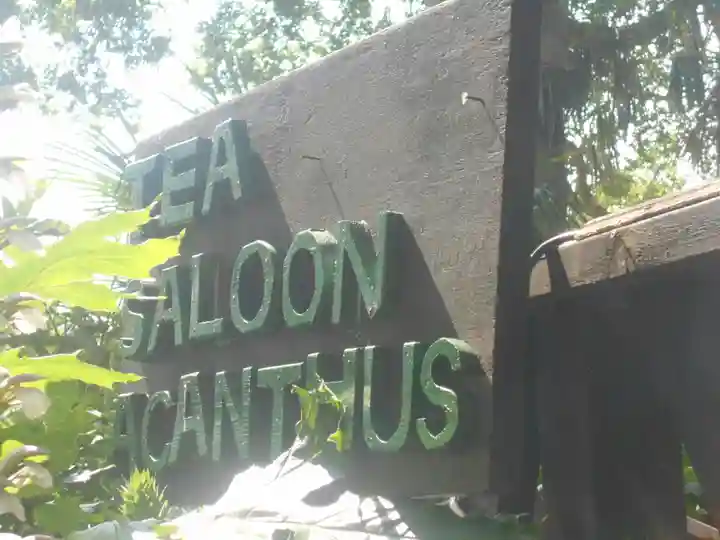 叶神社(東叶神社)の食事