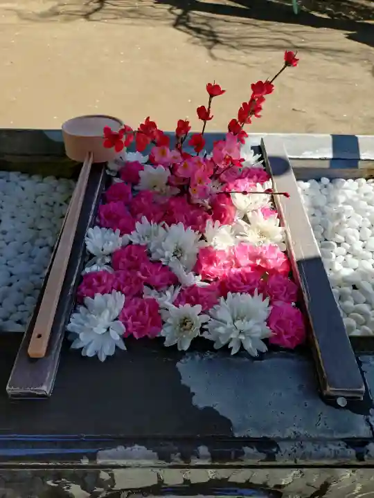 根岸八幡神社の{uncategorized: "未分類", other: "その他", undefined: "問題あり", building: "その他建物", grave: "お墓", sacred_gate: "鳥居", guardian: "狛犬", statue: "像", buddha: "仏像", history: "歴史", nature: "自然", garden: "庭園", animal: "動物", pagoda: "塔", temizu: "手水舎", mountain_gate: "山門・神門", sanctuary: "本殿・本堂", subordinate: "末社・摂社", art: "芸術", scenery: "景色", jizo: "地蔵", ema: "絵馬", goshuin: "御朱印", omikuji: "おみくじ", items: "授与品その他", amulet: "お守り", goshuincho: "御朱印帳", eats: "食事", festival: "お祭り", votive_dance: "神楽", shichigosan: "七五三参", wedding: "結婚式", experience: "体験その他", initially: "初詣", around: "周辺", anti_infection: "感染症対策"}