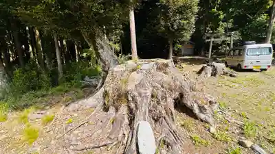 椎村神社(福井県)