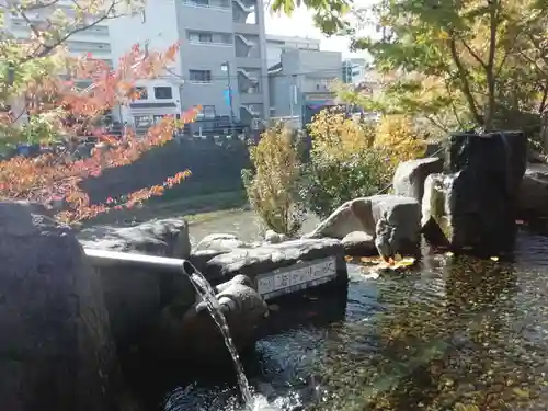 四柱神社の庭園