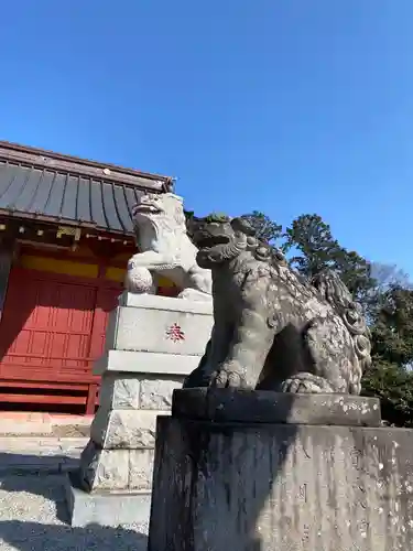 古尾谷八幡神社の狛犬