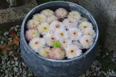 三春大神宮の手水舎