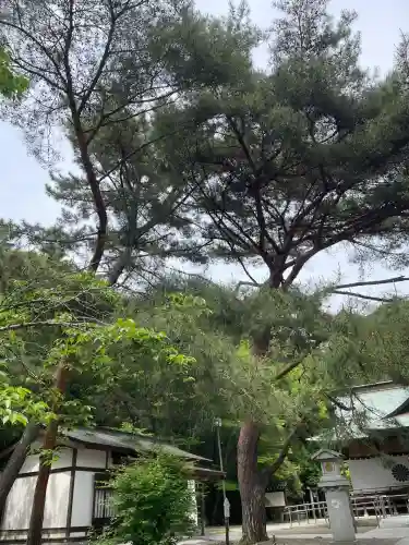 村松大神宮(茨城県)