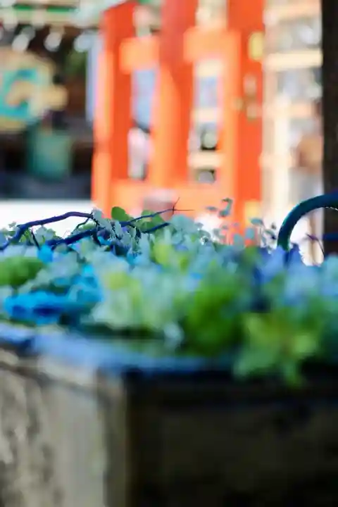 箭弓稲荷神社の{uncategorized: "未分類", other: "その他", undefined: "問題あり", building: "その他建物", grave: "お墓", sacred_gate: "鳥居", guardian: "狛犬", statue: "像", buddha: "仏像", history: "歴史", nature: "自然", garden: "庭園", animal: "動物", pagoda: "塔", temizu: "手水舎", mountain_gate: "山門・神門", sanctuary: "本殿・本堂", subordinate: "末社・摂社", art: "芸術", scenery: "景色", jizo: "地蔵", ema: "絵馬", goshuin: "御朱印", omikuji: "おみくじ", items: "授与品その他", amulet: "お守り", goshuincho: "御朱印帳", eats: "食事", festival: "お祭り", votive_dance: "神楽", shichigosan: "七五三参", wedding: "結婚式", experience: "体験その他", initially: "初詣", around: "周辺", anti_infection: "感染症対策"}