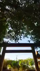 秋葉神社の鳥居