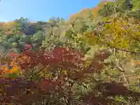元伊勢天岩戸神社(京都府)