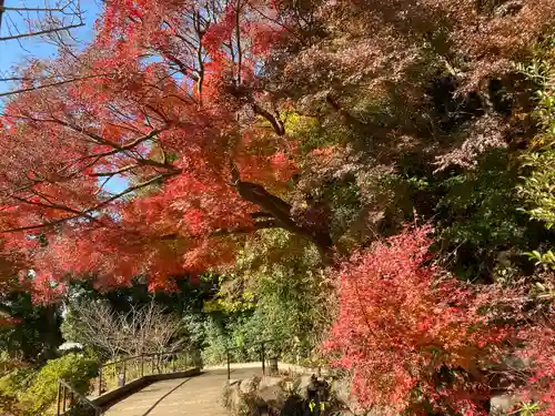 鎌倉宮の庭園