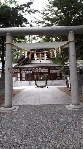 新琴似神社の鳥居