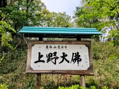 上野大佛の{uncategorized: "未分類", other: "その他", undefined: "問題あり", building: "その他建物", grave: "お墓", sacred_gate: "鳥居", guardian: "狛犬", statue: "像", buddha: "仏像", history: "歴史", nature: "自然", garden: "庭園", animal: "動物", pagoda: "塔", temizu: "手水舎", mountain_gate: "山門・神門", sanctuary: "本殿・本堂", subordinate: "末社・摂社", art: "芸術", scenery: "景色", jizo: "地蔵", ema: "絵馬", goshuin: "御朱印", omikuji: "おみくじ", items: "授与品その他", amulet: "お守り", goshuincho: "御朱印帳", eats: "食事", festival: "お祭り", votive_dance: "神楽", shichigosan: "七五三参", wedding: "結婚式", experience: "体験その他", initially: "初詣", around: "周辺", anti_infection: "感染症対策"}