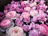 真言宗 善通寺派 薬王寺(香川県)