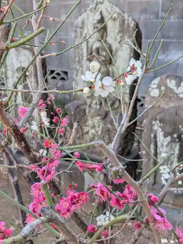田端神社(東京都)