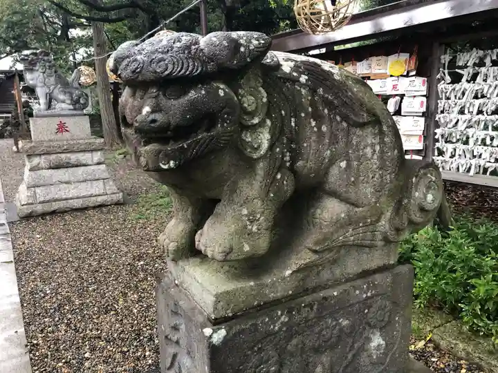 菊田神社の狛犬
